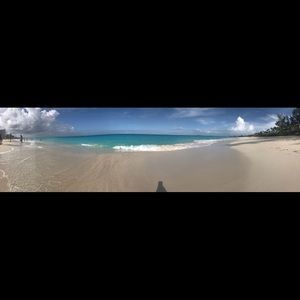 Meet your Posher, Judy